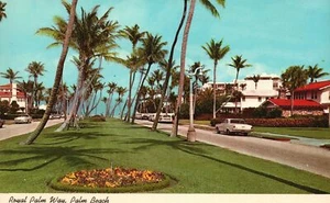 Royal Palm Way Beach Masse aus Granit Stein Berg Georgia GA Vintage Postkarte - Bild 1 von 2