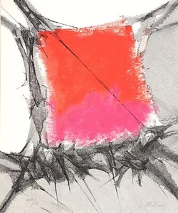 MANUEL RIVERA artista español 1990 original grabado abstracto firmado - Imagen 1 de 1