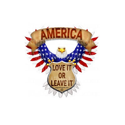 Calcomanías adhesivas America Love it or Leave It Eagle bandera americana 3M coche - calcomanía rv Foto 1 de 2