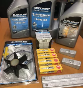 Genuine ANNUAL SERVICE KIT 90HP Mercury 4-Stroke Outboard Oil Gearlube & PUMP - Picture 1 of 2