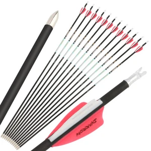 32" Pure Carbon Arrows 24T SP300-1000 ID4.2mm Recurve Bow Shooting Hunting 003" - Picture 1 of 34