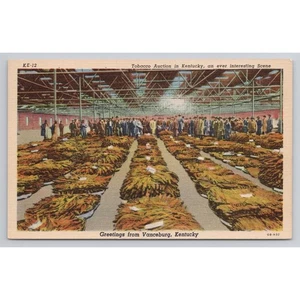 Tarjeta postal vintage de subasta de tabaco de Kentucky saludos desde la escena de Vanceburg - Imagen 1 de 2