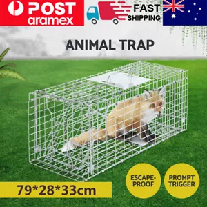 Extra Large Animal Trap Humane Cage Possum Fox Koala Rabbit Bird Cat - Picture 1 of 14