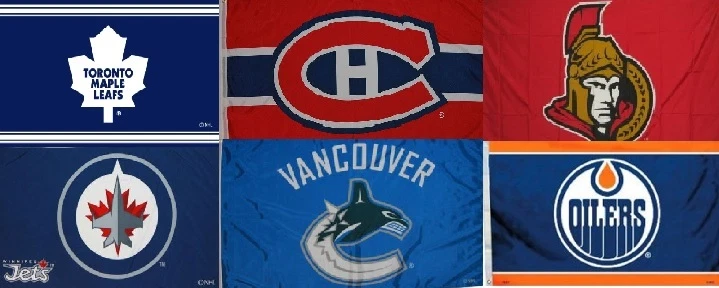 Licensed NHL HOCKEY LARGE FLAG BANNER 3'X5' -Indoor/Outdoor- 36"X60"  - Image 1 of 1