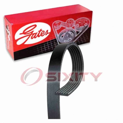 Cinturón serpentino Gates Micro-V para Mercedes-Benz GL450 2007-2009 4,6 L 4,7 L V8 ti Foto 1 de 4