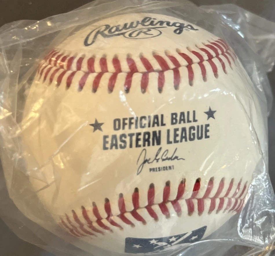 Pelota Sellada Oficial de Béisbol Liga Este Rawlings NUEVA Foto 1 de 1