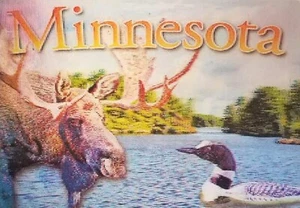 Minnesota Land of 10,000 Lakes 3D Fridge Magnet - Bild 1 von 1