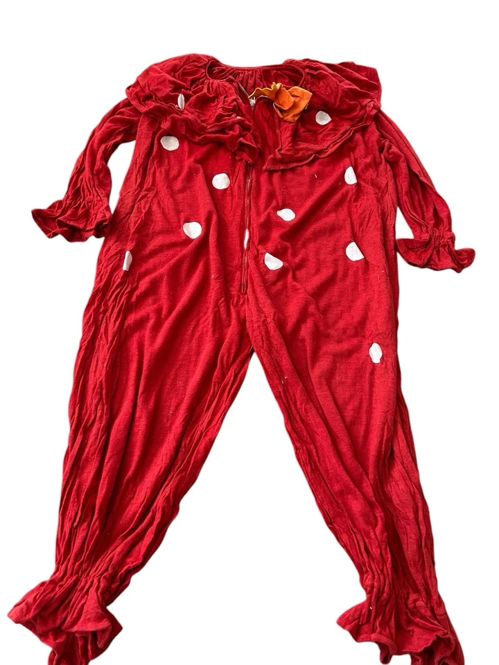 Antiguo Disfraz de Payaso Vintage Niño Halloween Fiesta Baile Hecho a Mano Foto 1 de 4