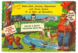 Postcard Smokey Bear Idaho State Forestry Department Forest Service Wildlife - Picture 1 of 2