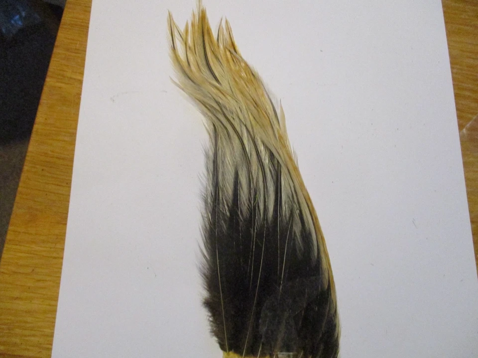 Parche Whoolly Bugger Hackle Golden Badger Serpentinas Bajo Lucio Salmón Foto 1 de 1