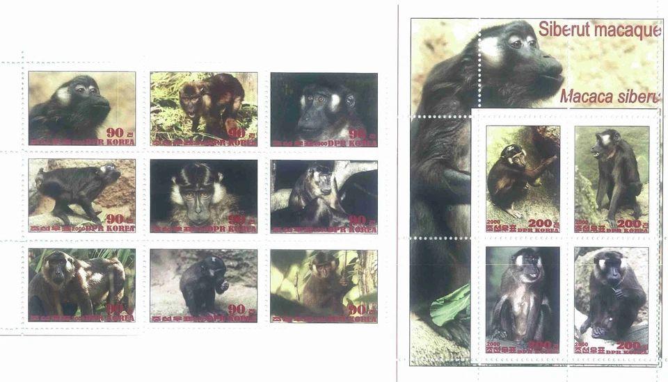 Stamp sheet+block Siberut macaque Korea 2020 issue Monkeys - Image 1 of 1