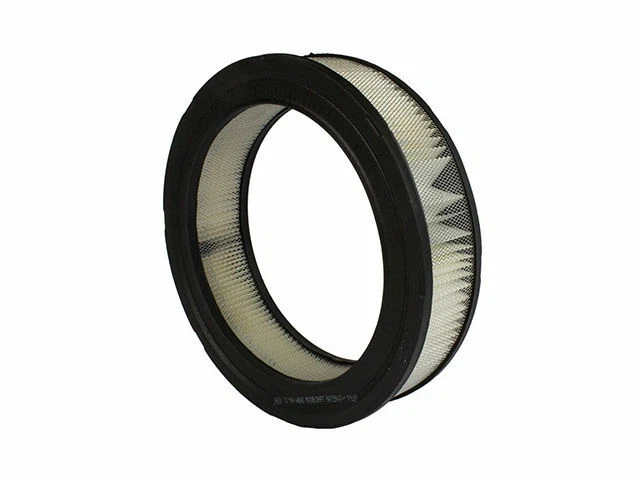 Filtro de aire para Dodge Dakota 1987-1988 2,2 L 4 cilindros T398ZN filtro de aire Foto 1 de 1