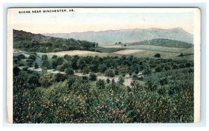 Scene near Winchester VA, Virginia Early Postcard - Trimmed - Picture 1 of 2