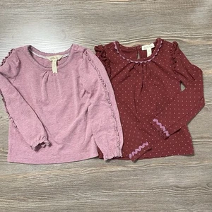Usado en Excelente Condición Matilda Jane Camisetas Manga Larga con Volantes, 2T, Juego de 2, Rosa y Granate - Imagen 1 de 13