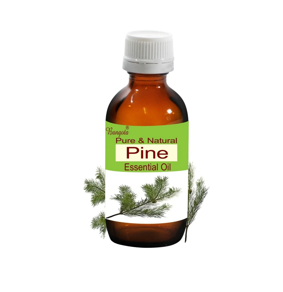 Pine Pure Natural Undiluted Essential Oil 30 ml Pinus sylvestris by Bangota - Image 1 of 1