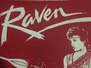 Raven- Gottlieb- Pinball Operations, Wiring & Instructions Manual- Used - Picture 1 of 4