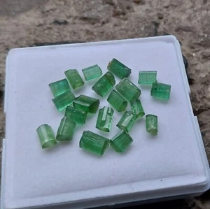 27.50 Carat Natural Green Color Tourmaline Rough Raw Pencil Shape 20 Piece Lot - Picture 1 of 24