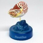Nautilus Kaiyodo Deep Sea Mini Figure Dydo Bottle Cap Japanese Very Rare