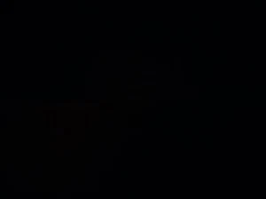 Ayton 100% Cotton Fabric Black Curtain Blind Craft Upholstery - Picture 1 of 1