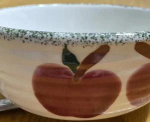 Alco Industries 5,25" Müsli Suppe Salat Schüssel mit Griff Obst Apfel Splash - Bild 1 von 6