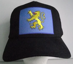 Serie de televisión Big Bang Theory Apt. Parche bordado con bandera en gorra/sombrero de camionero negro - Imagen 1 de 3