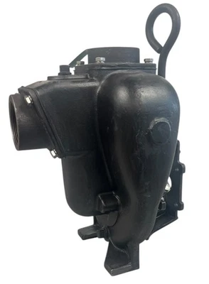 TerreMax 2 Inch Cast Iron Pump Only With 3/4" Shaft Sleeve - 200POI - Image 1 of 4