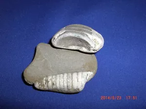 2 pietre fossilizzate Orthoceras surf spiaggia tumbled - Foto 1 di 2