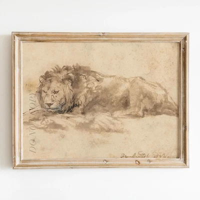 Impresión de póster de arte de pared de león reclinable de Rembrandt Foto 1 de 4