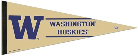 WinCraft NCAA Washington Huskies Premium Felt Carded Classic Pennant, 12" x 30 Cover