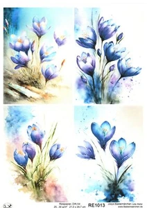 Reispapier A4 Strohseide Decoupage Serviertentechnik blaue Krokusse RE1013 - Bild 1 von 1