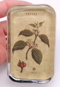 Vintage Botanical Paperweight Coffee Plant Ferma Carta? England 4" x 2.5" Velvet - Picture 1 of 12
