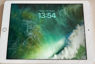 Apple iPad 5. Gen. 32GB, WLAN, 24,64 cm, (9,7 Zoll) - Silber - Bild 1 von 4