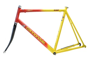 CANNONDALE R800 CAD3 ALUMINUM CARBON 700c WHEEL RACE BICYCLE 60 CM FRAME 130 MM - Picture 1 of 14