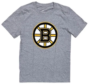 Boston Bruins Men's T-Shirt Team Logo NHL Hockey Heather Grey Tee by Fanatics - Picture 1 of 2