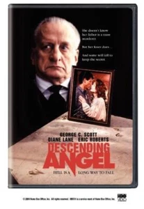 Descending Angel DVD Drama (2004) Quality Guaranteed Reuse Reduce Recycle - Picture 1 of 7