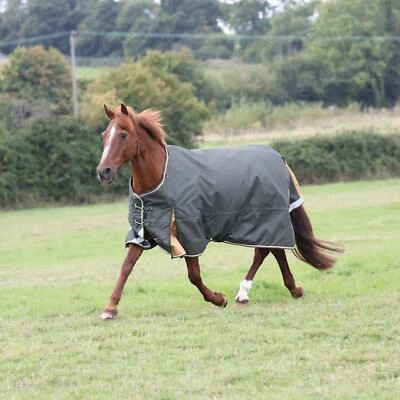 Shires Highlander Plus 50g Turnout Rug - Green - Image 1 of 4
