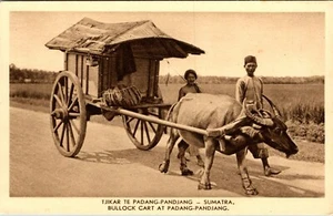INDONESIA - SUMATRA - CARRO BUEY EN PADANG - POSTAL ANTIGUA - Imagen 1 de 2