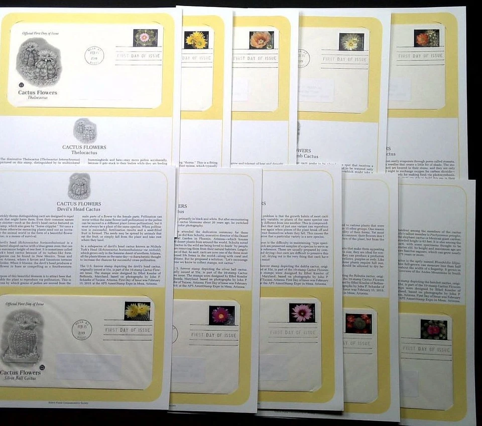 Cactus Flowers Sc 5350-5359 FDC 2019 PCS desierto botánica flor planta natural Foto 1 de 4