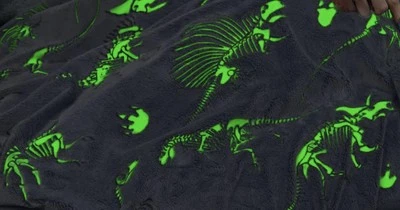 "Manta JENKO Dinosaurio Brilla en la Oscuridad Gris y Blanco 60"" X 50"" Suave" Foto 1 de 4