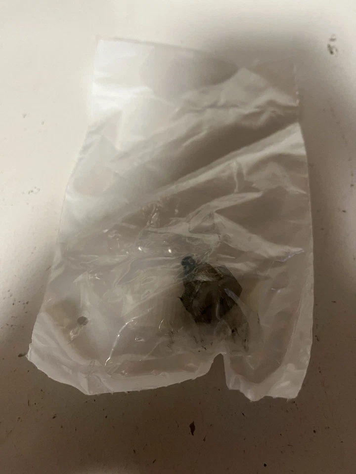 Enchufe de cadena magnético Arctic Cat 0602-479 fabricante de equipos originales Foto 1 de 1