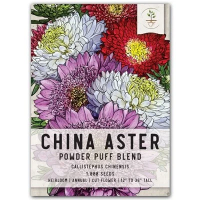 3 - Powder Puff China Aster Seeds For Planting (Callistephus chinensis) 1,000 - Image 1 of 3
