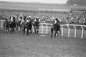 DANCING BRAVE 2000 GUINEAS 1986 PHOTO PRINT HORSE RACING NEWMARKET - Picture 1 of 1