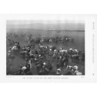 The Massed Bands of the First Cavalry Division - Antique Print 1897