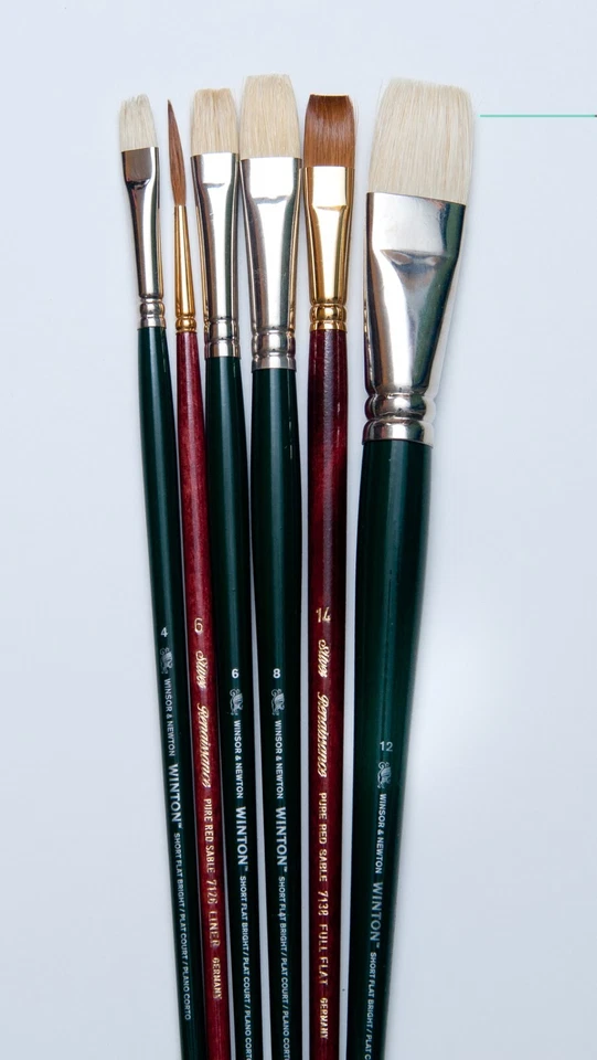 Juego de 6 cepillos de aceite Hog & Sable lista $200.00 AHORA SOLO $75. AHORRA MÁS DEL 60% Foto 1 de 1