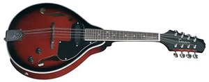 MANDOLINE ELECTRO ACOUSTIQUE STYLE A GEWA TABLE EPICEA DOS TILLEUL - Imagen 1 de 1