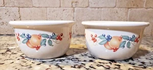 Juego de 2 cuencos de gres Corelle Coordinates Vintage ABUNDANCIA 7 oz - 207 ml - Imagen 1 de 4