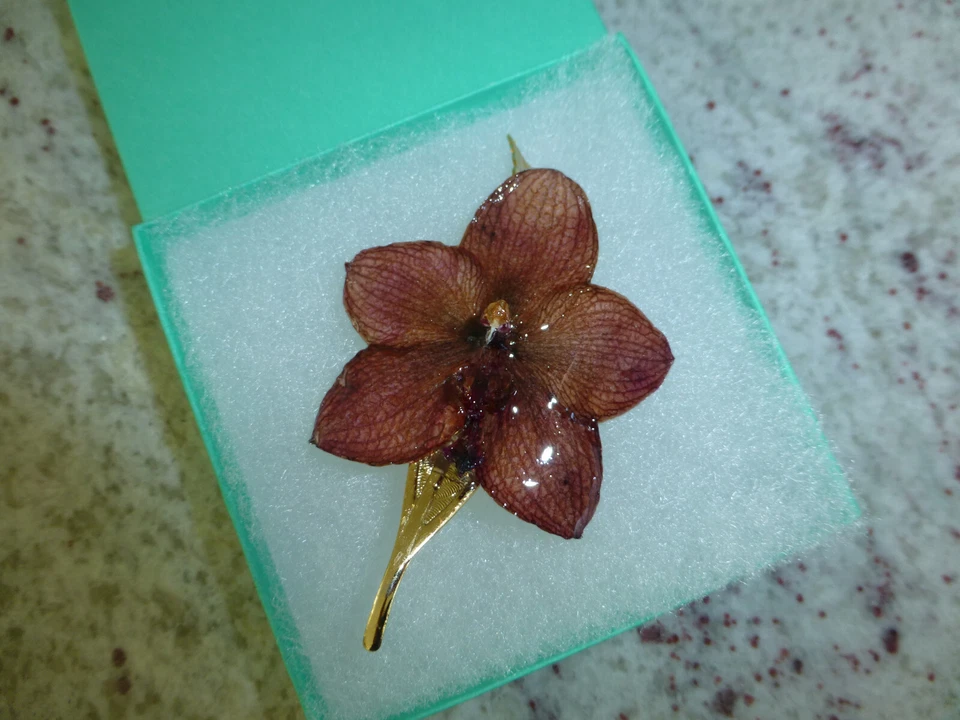 Phalaenopsis Real Phal Orchid Preserved Flower 14K Gold Plated Hair Clip - Image 1 of 4