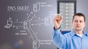Domain, DNS & Web Hosting Support - Expert Assistance - US based - DNS problems - Picture 1 of 4