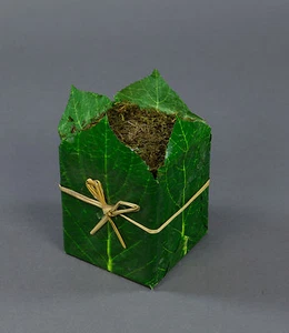 Blatttopf 9x8cm mit Steckmasse und Moos GA - Bild 1 von 1