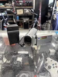 Sony DCR-SX40 4GB SD Handycam Camcorder (Silver) - Picture 1 of 9